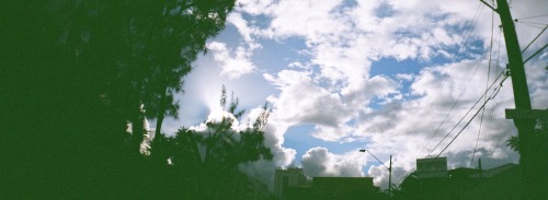 I’m always looking up: lomo pics i took in 2011