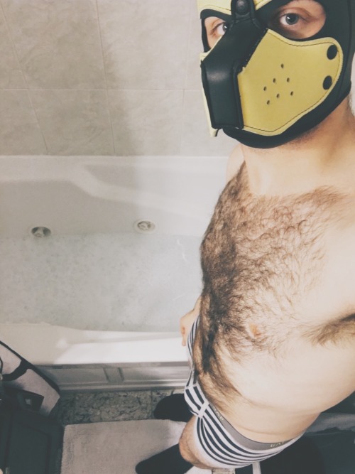 pupbustermackenzie:how do puppies have the most fun by themselves after a long day? bubblebath! duh.