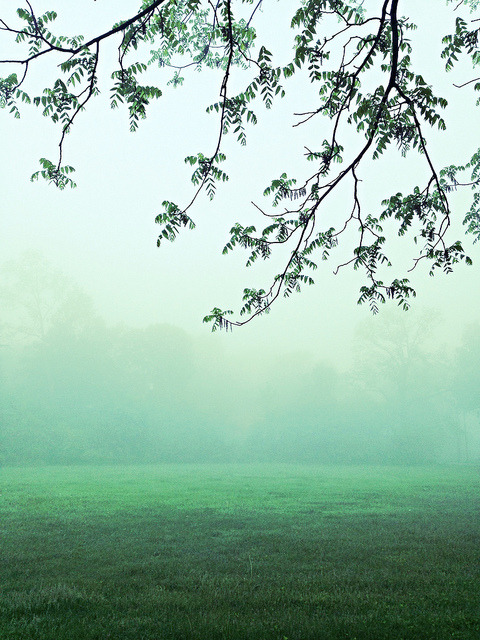 arcanja:  Fog Rolls In {Explore} by Joe19G27 on Flickr. 