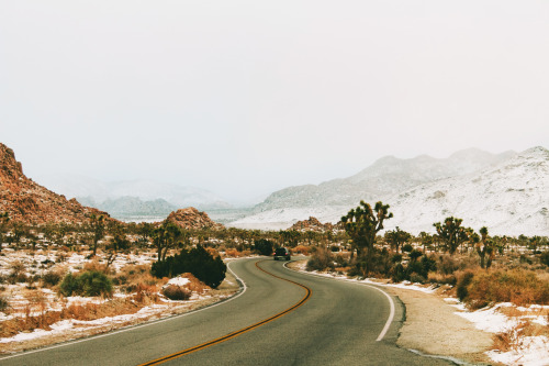 taleoftheastronaut:  Spent the last day of 2015 in Joshua Tree. by Jeremiah Probodanuinstagram: thecraziethewizard  