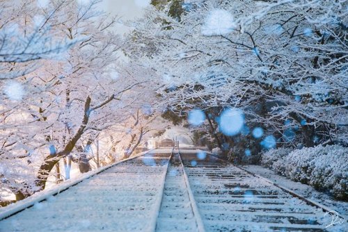tanuki-kimono:  Four seasons on an abandoned railway, by  @usalica Original title uses the expression “shunkashuto” (春夏秋冬, lit  “spring, summer, autumn and winter”), which is a yojijukugo - a 4 kanji expression - which reads simply as
