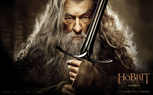 ea-solinas:iky-iky:Gandalf`s courage in The Desolation of SmuagGandalf was such a selfless hero in t