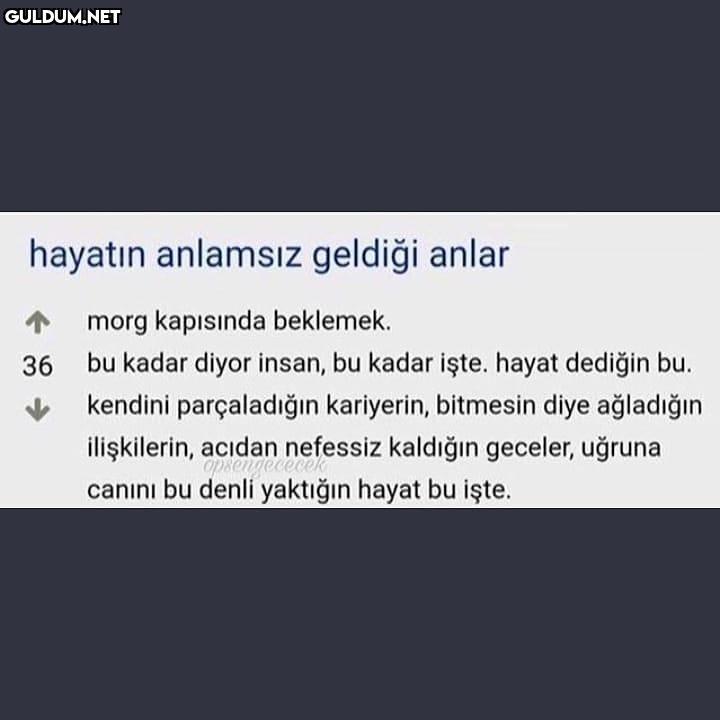 hayatin anlamsiz geldiği...