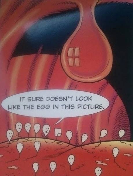 I will seriously reblog this every time I see it.  This if the 5th time.  