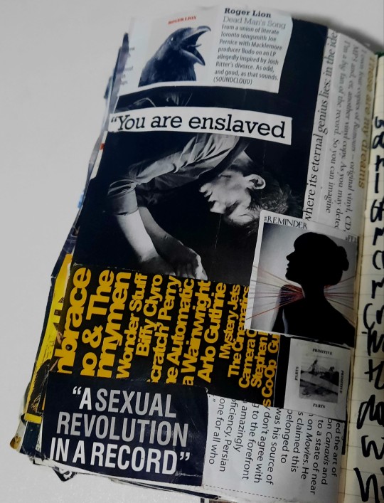 Tumblr media