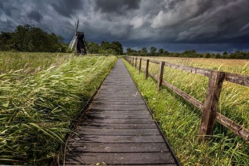 Wicken Fen, Cambridgeshire.