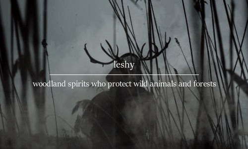 apollohnx: supernatural creatures in slavic mythology ↳ forest dwellers