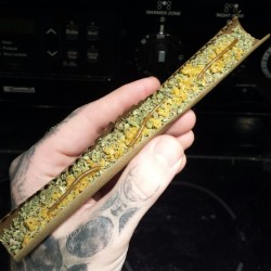 johannesnw:  Twaxed extendo.