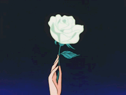 𝓟𝓪𝓼𝓸𝓻𝔂