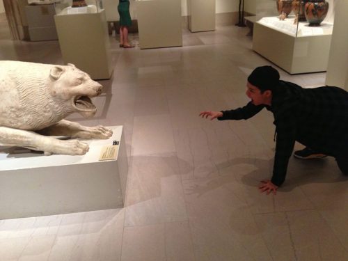 Llama vs Kitty at the MET in NYC! who wins!?