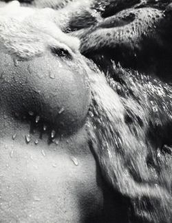 baywts3:Lucien Clergue