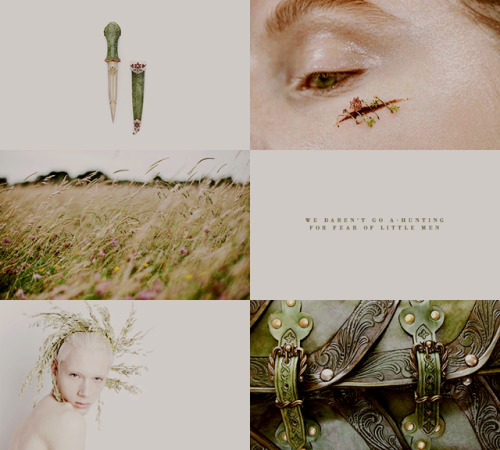 jediknightrey: AESTHETIC MEME: [3/5] myths or mythical creatures: F a i r i e sFairy, also spelled f