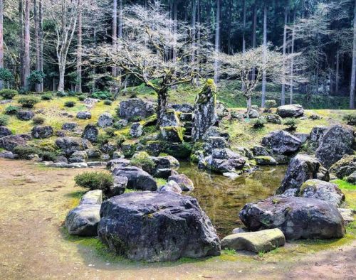 ＼おにわさん更新情報／ ‪[ 福井県福井市 ] 一乗谷朝倉氏遺跡 諏訪館跡庭園 Ichijodani Asakura Clans Ruins – Suwa-yakata ruins Garden, F