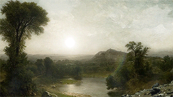 tomburke:B E A U T Y - dir. Rino Stefano Tagliafierro [x]Over Beauty, there has always hung the clou