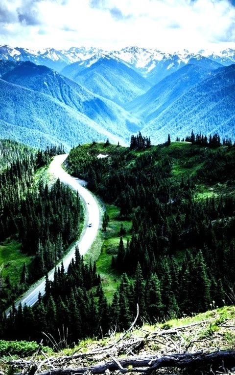 Hurricane Ridge, Olympic National Park, Washington