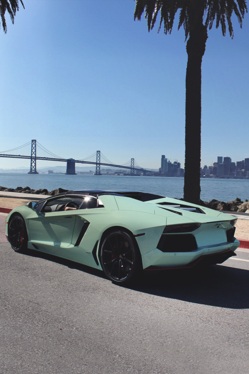 classyhustler: Vorsteiner Aventador |photographer