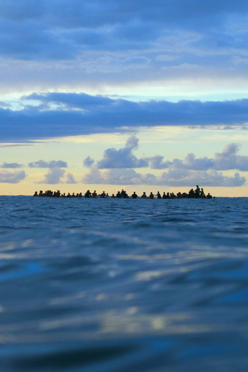 highenoughtoseethesea:  In Loving Memory ph Ryan Miller 