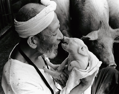 rollership:
“Over the course of ten years, Kagawa-based photographer Toshiteru Yamaji captured the special bond between Japanese pig farmer Otchan and his 1,200 pigs. As you can tell by these photos, he cared for each individual pig in a loving and...