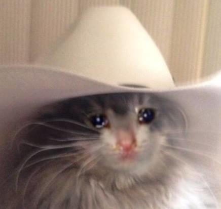 Us Bitches Bullying Mirage: Ha Ha Look At The Little Cowboy Man Do U Like Pumdkins Little Cowboy Man?