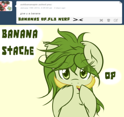 askflowertheplantponi:  Flower: + 150 to everything. Trust me.
