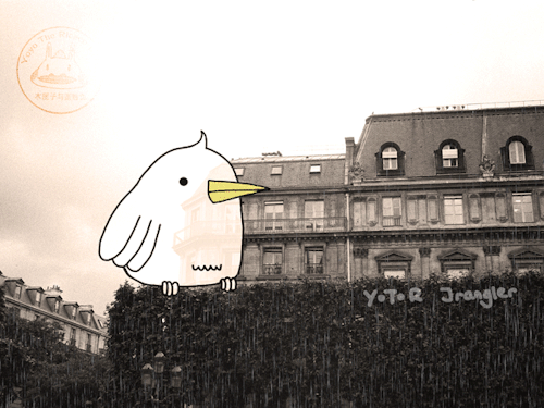 yoyothericecorpse:  Spring rain A little summary of the rain gifs I made :3   Awe