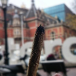 Weedporndaily:  I Amsterdam #Solana_Star By Solana_Star Http://Ift.tt/1Fvbe2Z