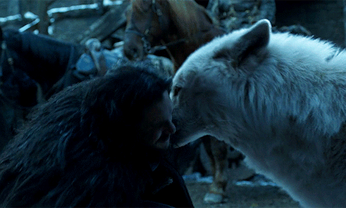 captainpoe:Jon Snow and Ghost - 1x01/8x06