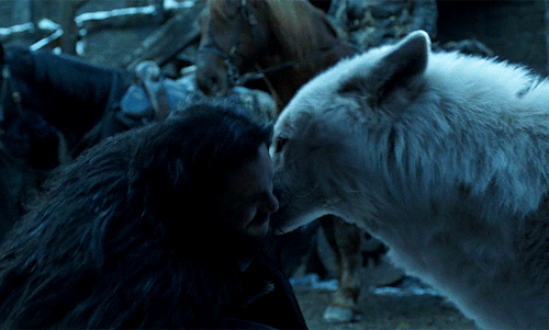 captainpoe:Jon Snow and Ghost - 1x01/8x06 my babies