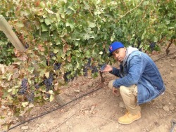 deadbent408:  Nas chillin wit sum blueberries