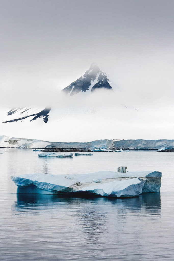 refluent:  Neumayer Channel, Antarctica (von waybeyondimages)
