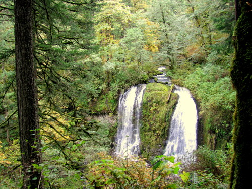 Upper McCord Creek Falls- Oregon October 2013 