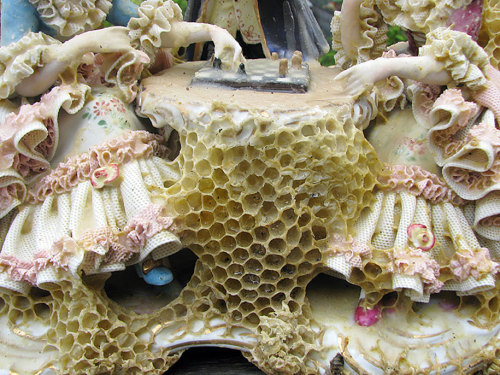 Aganetha Dyck Bee Comb SculpturesAganetha Dyck Bee Comb Sculptures don’t seem intentional, mor