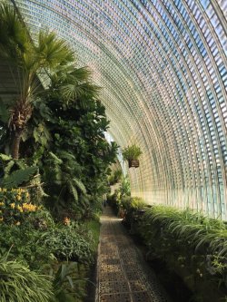 Matthewgreenburgh:  Inside The Glass House At Lednice, Czech Republic, Better Than