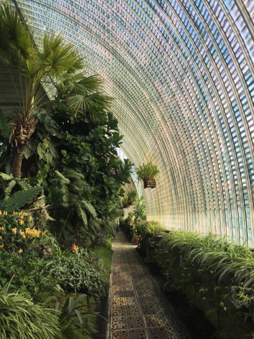 matthewgreenburgh:  Inside the glass house at Lednice, Czech Republic, better than Kew!
