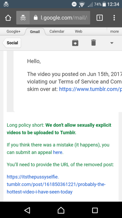 Are you shitting me tumblr? You don’t allow sexually explicit videos? Have u actually looked a