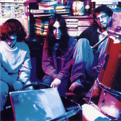 onlytheyoungdieyoung:  Dinosaur Jr