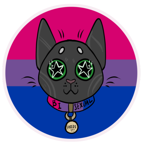 LGBT PRIDE CAT STICKERS -GAY, LESBIAN, BISEXUAL, PANSEXUAL, TRANSGENDER, NONBINARY + ASEXUAL DESIGNS