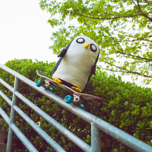 Gunter shredding it up! Check out NEW Adventure Time eps all this week @6/5c!                                                               