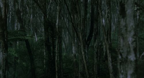 THE PIANO (1993) dir. Jane Campion