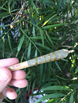 lustingmoon:  rainbow joint 🌈👅