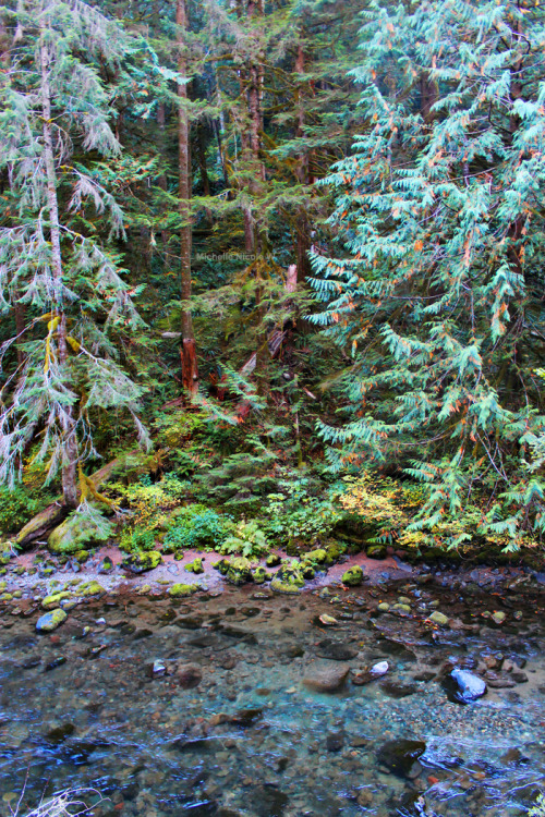 bright-witch: Pacific Northwest photography © Michelle NicoleMy Blog // My FlickrPlease do not 
