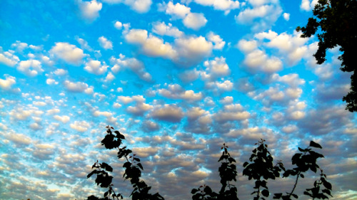 etherealphoto:  Floating By by Me