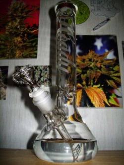 Always High, Never Dry