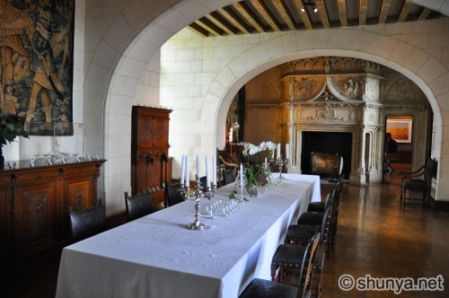 castlesandmedievals:château de Chaumont