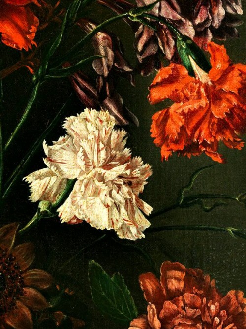 laclygrantham: BlumenstilllebenIN einer nische mit hirschhornkäfer (detail) 1668. Peter van Kes