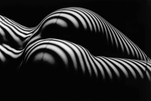  Lucien Clerge - Zebra Nude (1997-2012)  adult photos