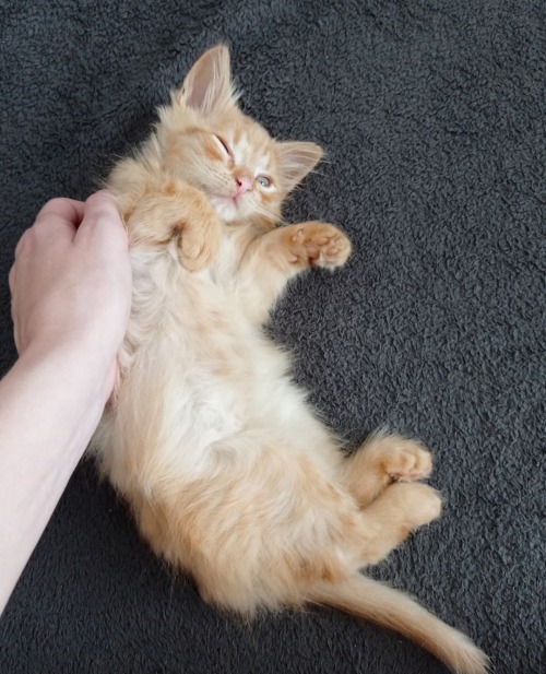 My Friends Kitty Marcelek :)