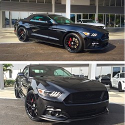 musclefords:  @igfords #ford#Mustang#SVT tag-&gt; #american_muscle_mustangs @707performance with the topless sitting on @hre_wheels