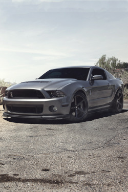 mistergoodlife:  American Muscle on Zito Wheels