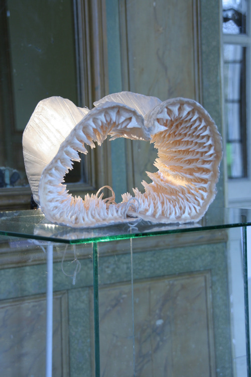 myampgoesto11: Sarah Garzoni: Breaching, 2010 19th century corset, 1000 sharks teeth, plaster, wax 
